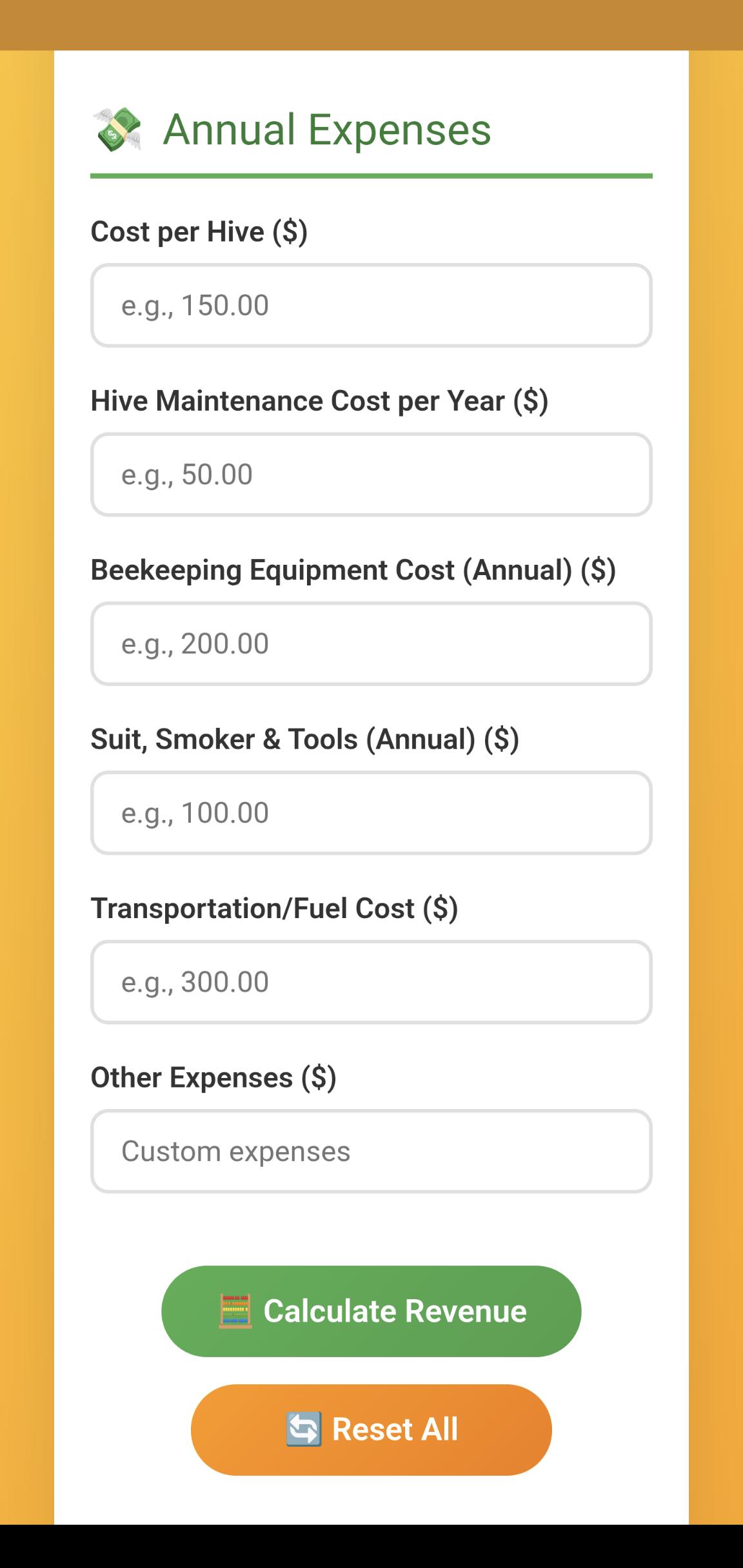 Revenue setup