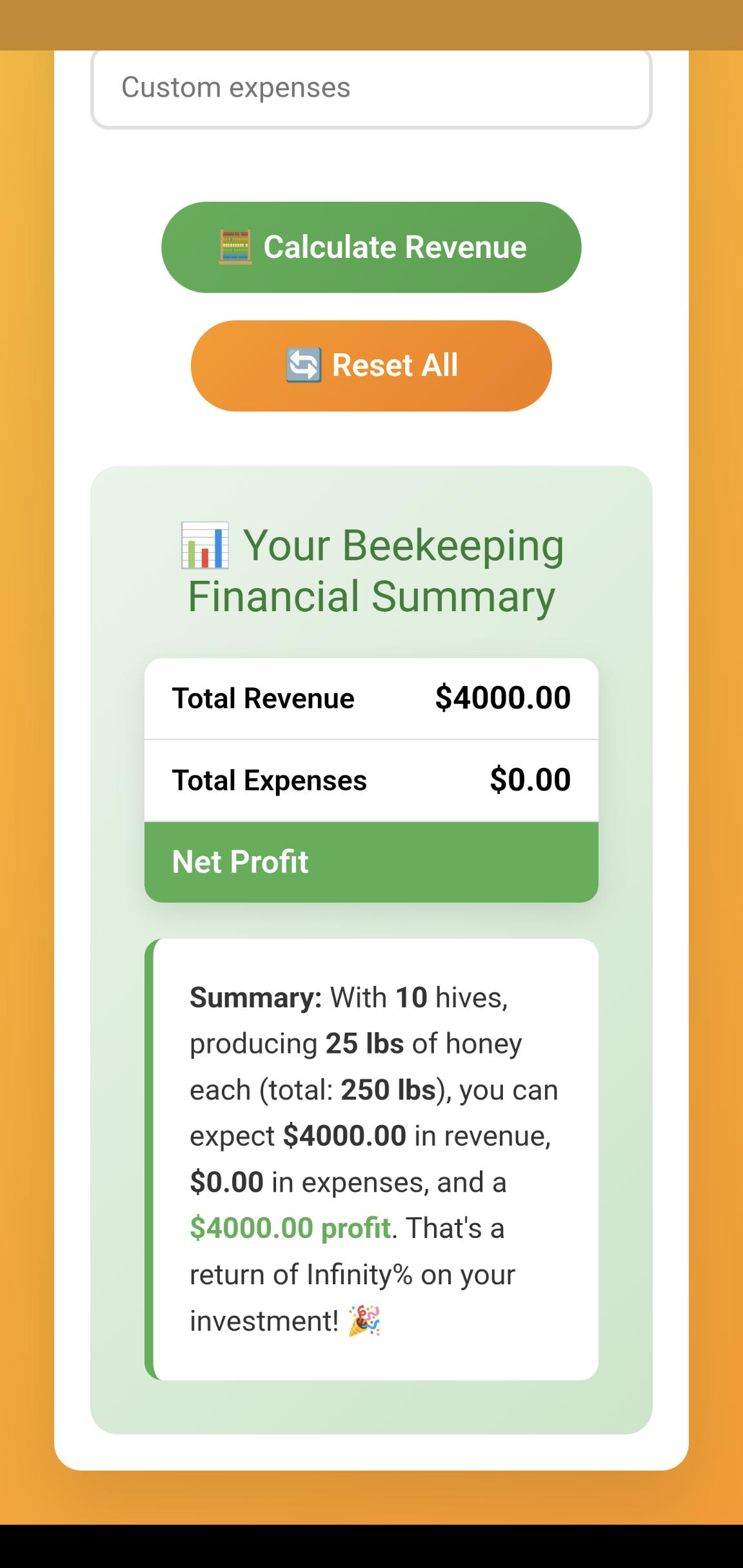 Summary & profit